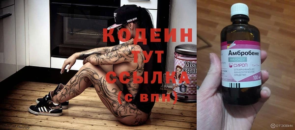 прущий лед Алзамай