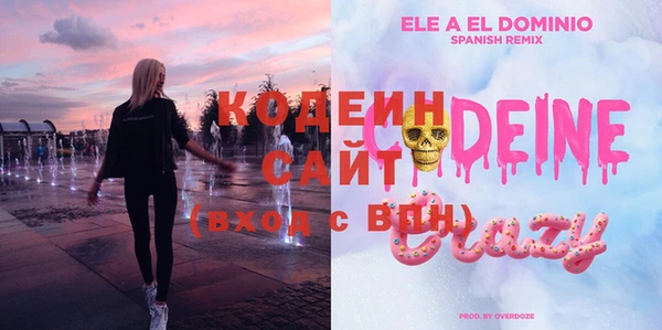 прущий лед Алзамай