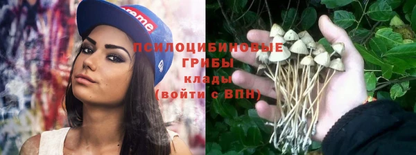 прущий лед Алзамай